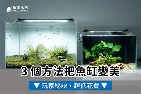 圓形魚缸造景|魚缸造景教程：超簡單，一學就會！